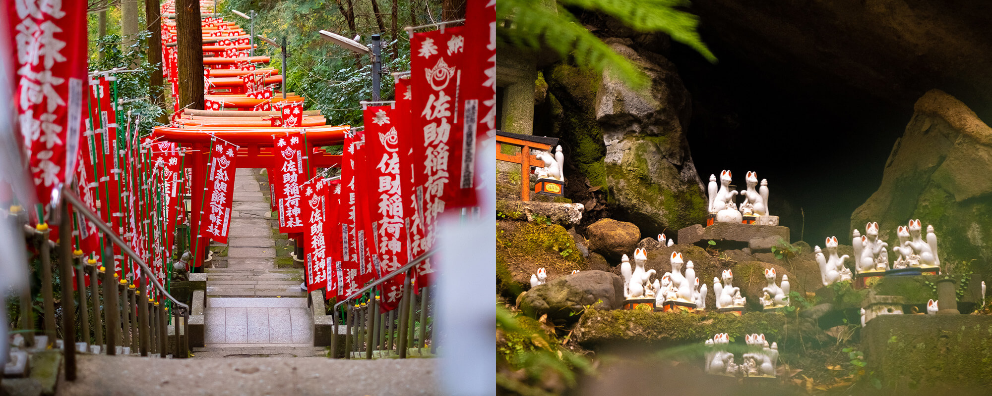 神社の歴史 | 佐助稲荷神社
