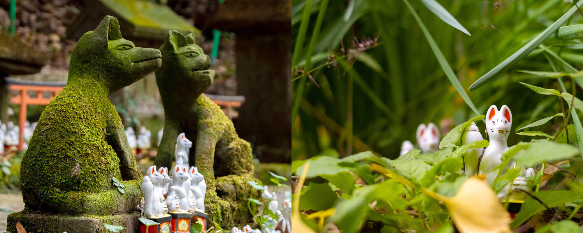 ペットとひと | 佐助稲荷神社