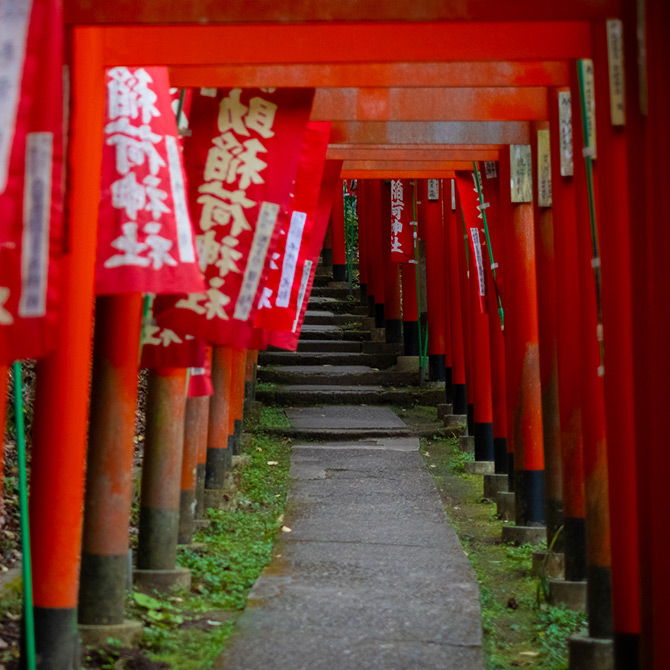 鳥居　Torii