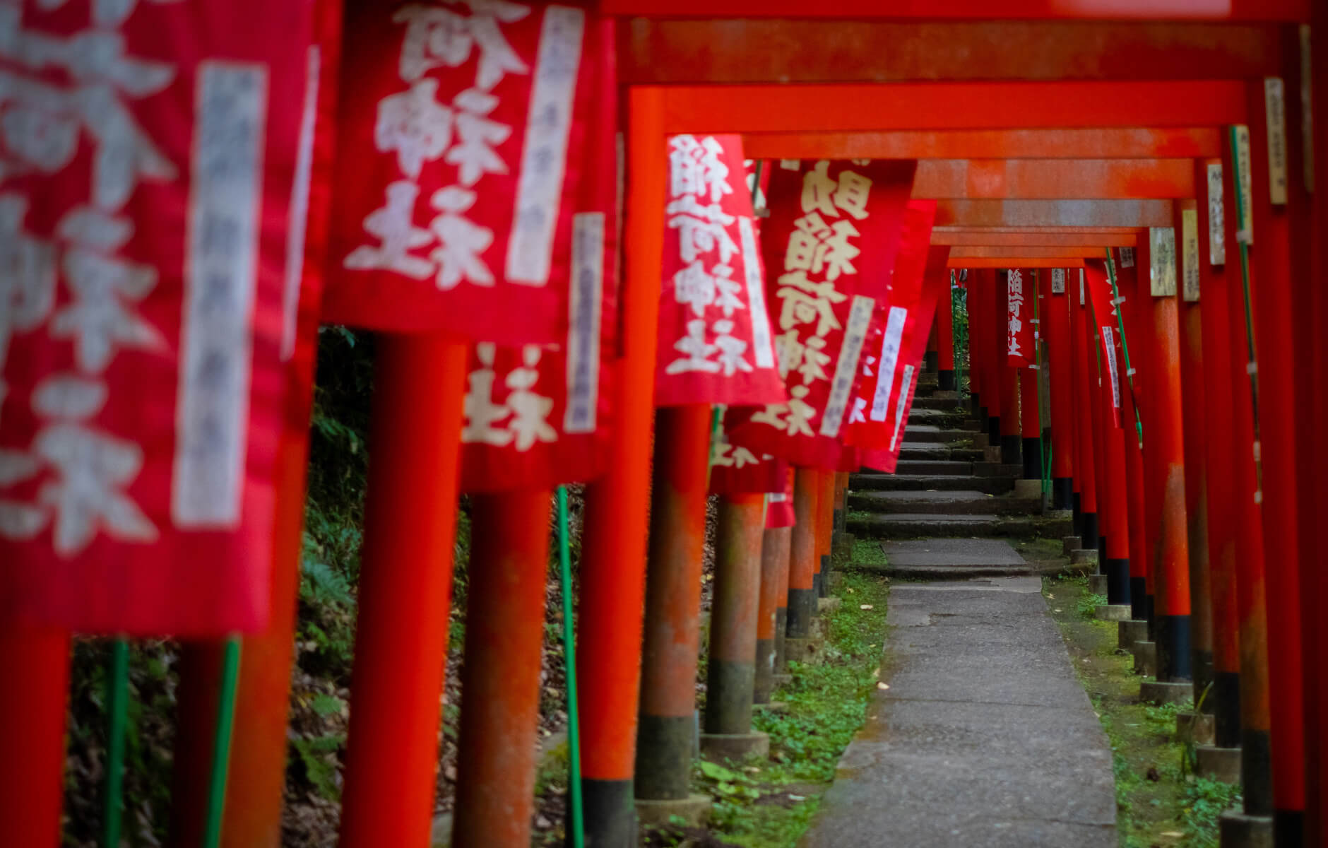 鳥居　Torii